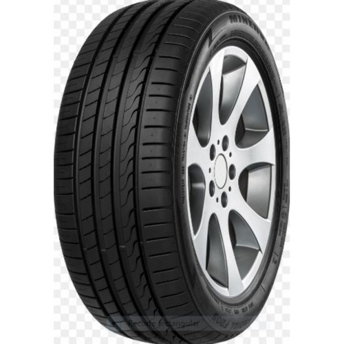 Foto pneumatico: MINERVA, F105 225/45 R19 96Y Estive