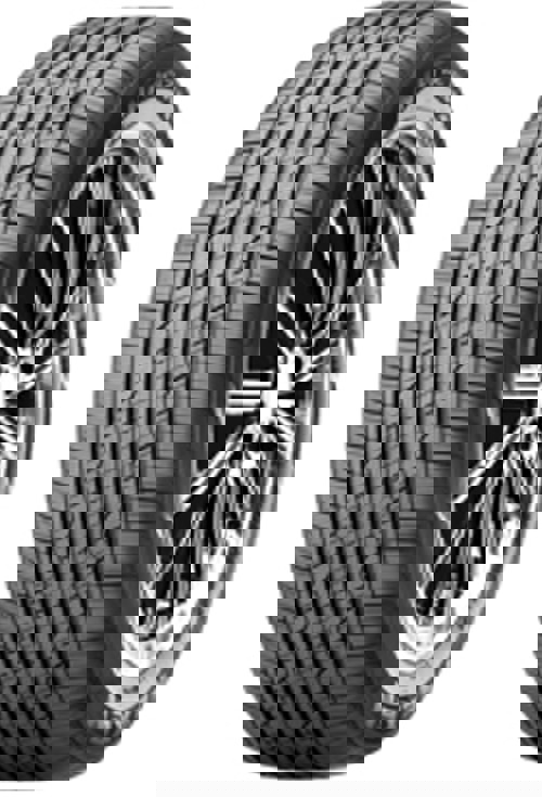 Foto pneumatico: NEXEN, N priz RH7 255/50 R20 105H Estive