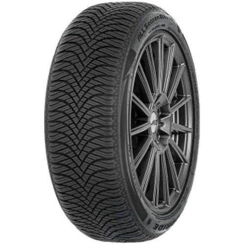 Foto pneumatico: Double Star, DW08 205/55 R16 91T Invernali