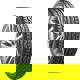 Foto pneumatico: HANKOOK, Ventus V12 Evo2 K120 205/35 R18 81Y Estive