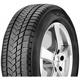 Foto pneumatico: SUNNY, Wintermax NW211 295/40 R21 111V Invernali